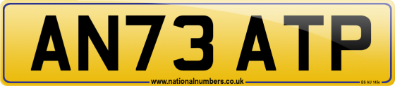 AN73 ATP
