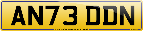 AN73 DDN
