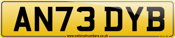 AN73 DYB