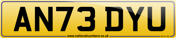 AN73 DYU