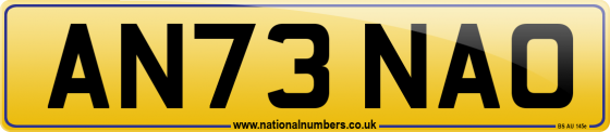 AN73 NAO