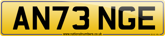 AN73 NGE