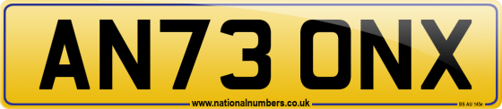 AN73 ONX