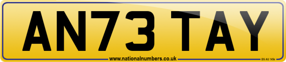 AN73 TAY