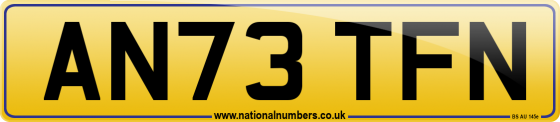 AN73 TFN