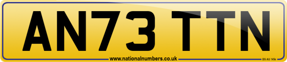 AN73 TTN