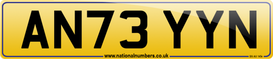 AN73 YYN