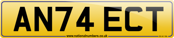 AN74 ECT