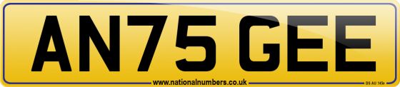 AN75 GEE