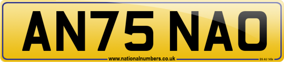 AN75 NAO