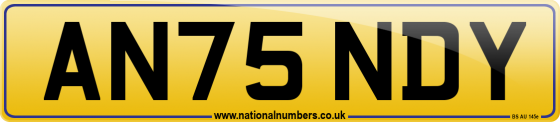 AN75 NDY