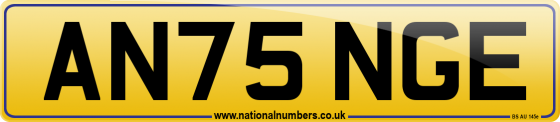 AN75 NGE