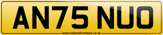 AN75 NUO