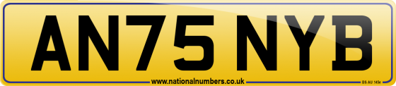 AN75 NYB