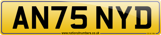 AN75 NYD
