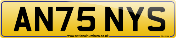 AN75 NYS