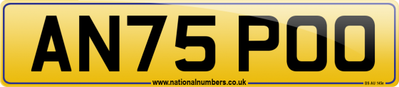 AN75 POO
