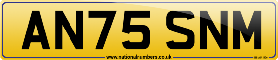 AN75 SNM