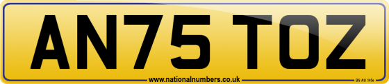 AN75 TOZ