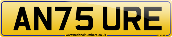 AN75 URE