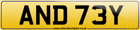 AND 73Y