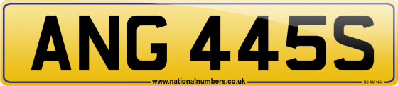 ANG 445S