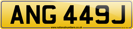 ANG 449J