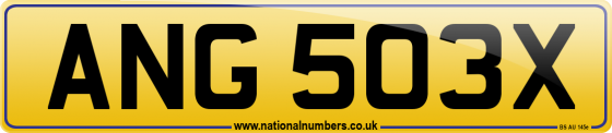 ANG 503X