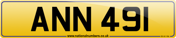 ANN 491