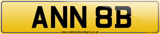 ANN 8B