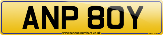 ANP 80Y