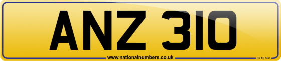 ANZ 310