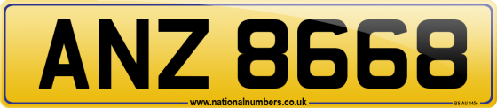 ANZ 8668