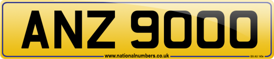 ANZ 9000