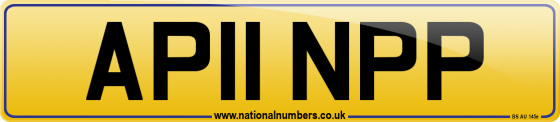 AP11 NPP