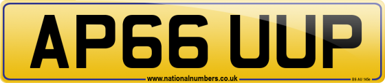 AP66 UUP