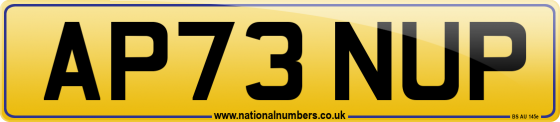 AP73 NUP