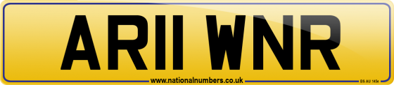 AR11 WNR
