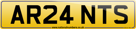 AR24 NTS