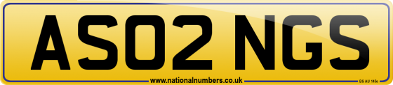 AS02 NGS