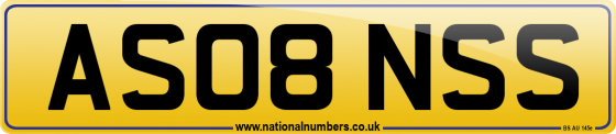 AS08 NSS