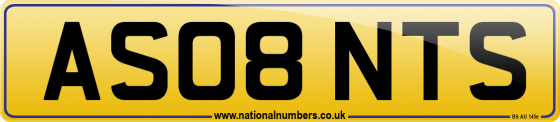 AS08 NTS