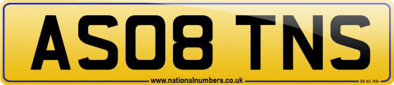 AS08 TNS