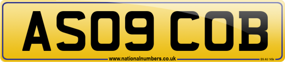 AS09 COB