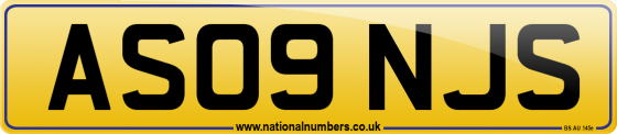 AS09 NJS