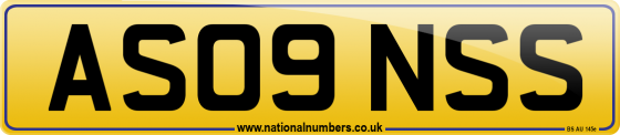 AS09 NSS