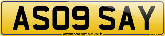 AS09 SAY