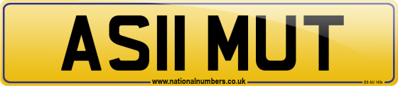 AS11 MUT