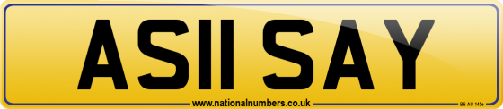 AS11 SAY