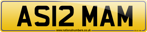 AS12 MAM